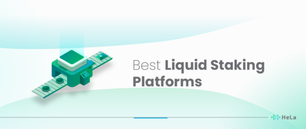 15 Best Liquid Staking Platforms To Consider In 2024 - HeLa