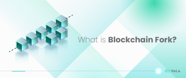 What Is A Blockchain Fork? - HeLa