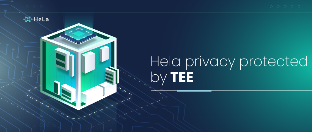 The Role of Trusted Execution Environment in HeLa Chain