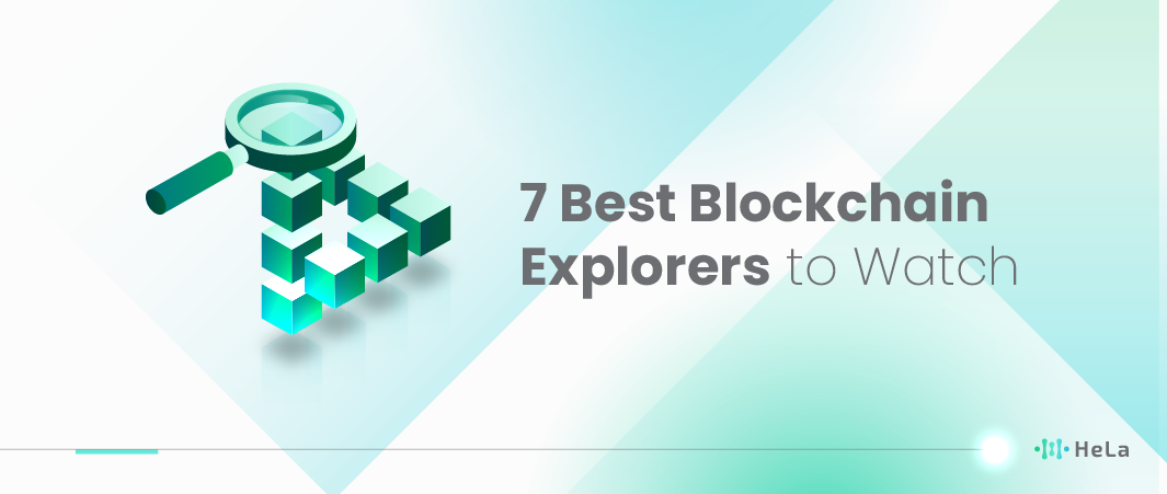 7 Best Blockchain Explorers to Watch in 2024
