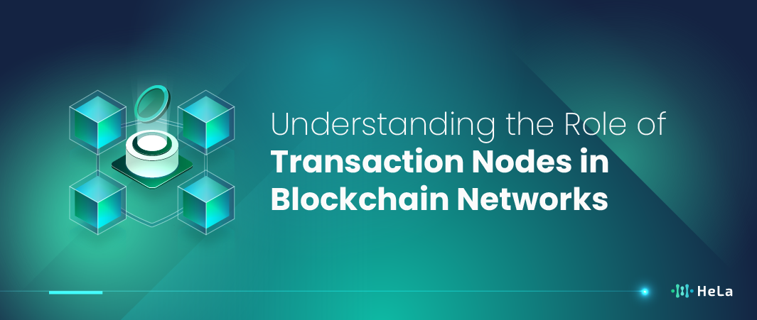 What is Transaction Node?