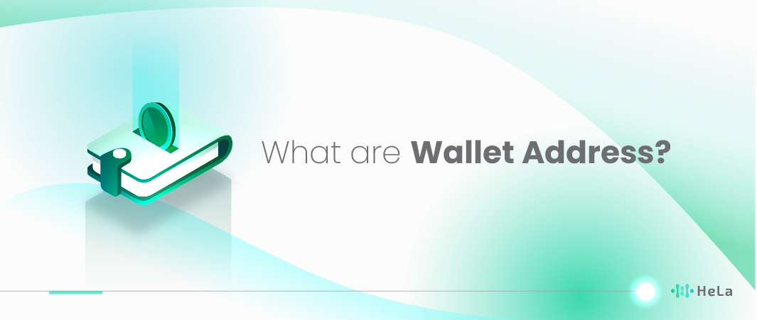 What is a Wallet Address