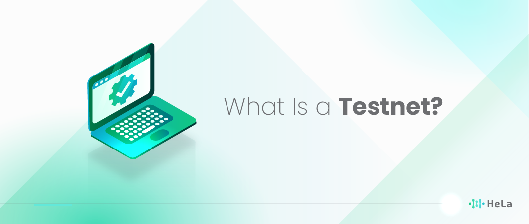 what is a testnet