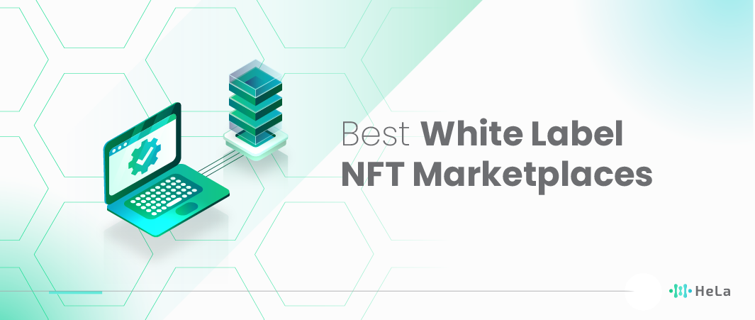 10 Best White Label NFT Marketplaces in 2024