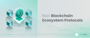 12 Best Blockchain Ecosystem Protocols in 2025 - HeLa