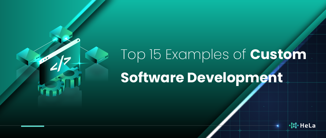 Top 15 Examples of Custom Software Development in 2025