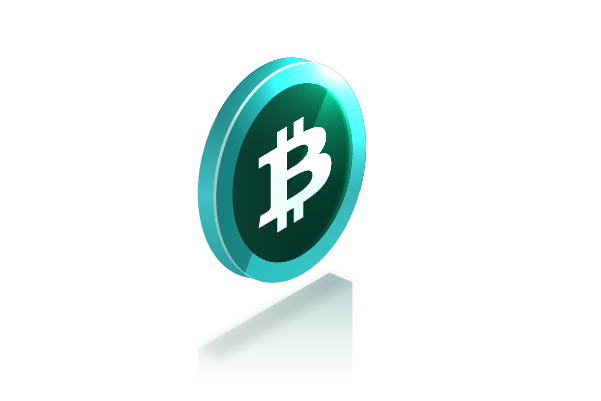 What Is Bitcoin
