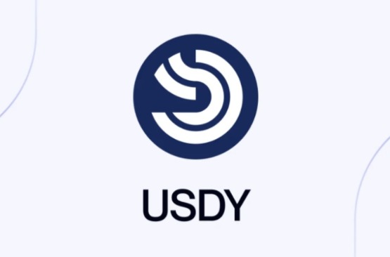 usdy