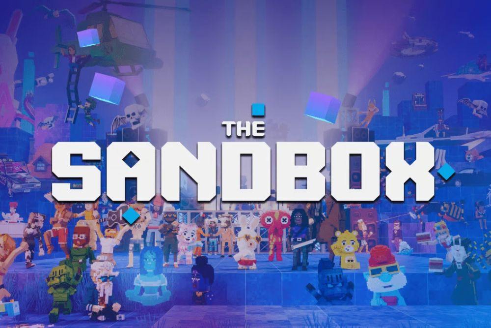 the sandbox